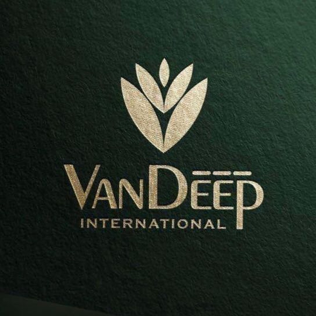 VanDeep International logo